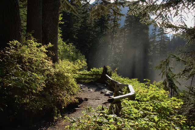 Narada Falls trail